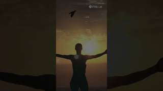 Transforme Sonhos em Realidade: Motivação Diária