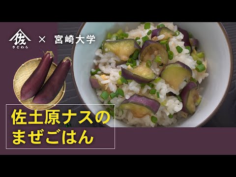 佐土原ナスのまぜごはん