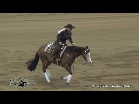 Spookadoodledo ridden by Kelle L. Smith  - 2018 NRBC (NP Prelims)