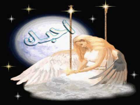 skkrshfaif’s Video 29654955336 yqDWagNVXr4