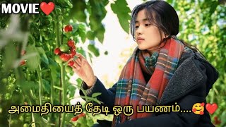 இது தானே சொர்க்கம்...🥰| தமிழ் விளக்கம்| TALKY TAMIL 