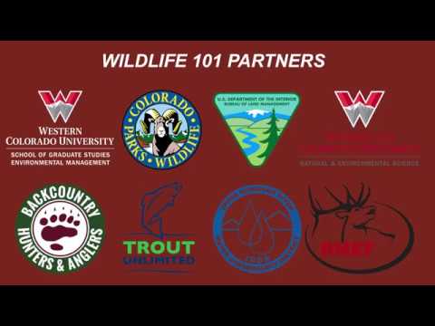 Wildlife 101: Humans and Wildlife Biology