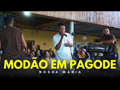 Modão Sertanejo, Seresta e Arrocha and 4 more