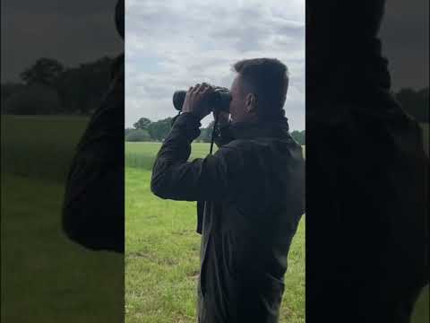 Der #Mai-#Bock ruft. Die #Jagd beginnt. Volles Video jetzt online! #hunting #hunter #huntinglife