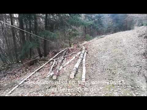 Spalterwinde System König am Posch 9t HC