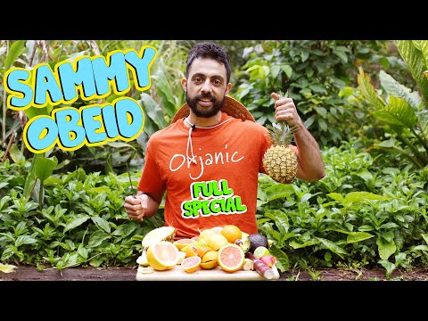 ORJANIC (Full Special) | Sammy Obeid | Stand Up Comedy