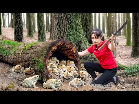 Como Capturei Milhares de Sapos na Floresta Selvagem e Levei ao Mercado – Vida Diária na Selva