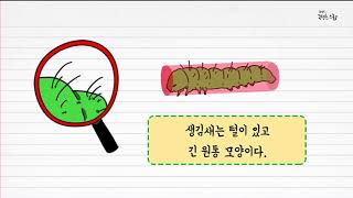 과학 3학년 1학기 3단원 4차시 영상(52-53p)