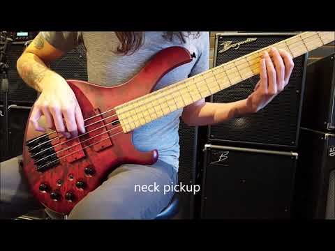 Maruszczyk Frog Beta 5a 5 String Bass