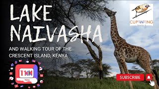 Exploring Lake Naivasha and Crescent Island in Kenya 2024