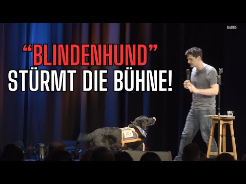 "Guide Dog" storms comedy show! - Alain Frei