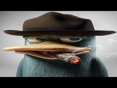 paladins rewasd montage 😈