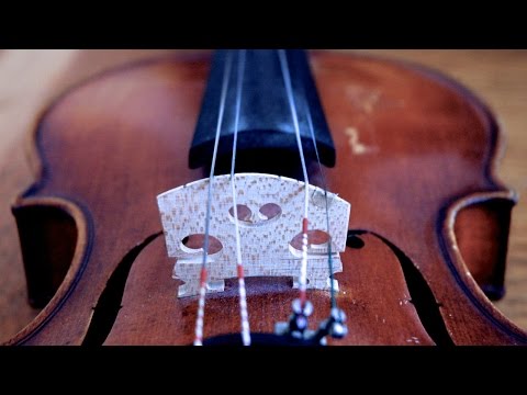 Daniel Hoffman - Double-String Violin Doina (klezmer fiddle)