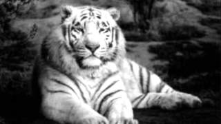 LEON HAYWOOD.....you bring out the freak in me