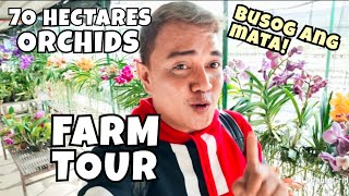 70 HECTARES ORCHIDS FARM TOUR | MURANG SUPPLIER NG ORCHIDS...SAAN KAYA?