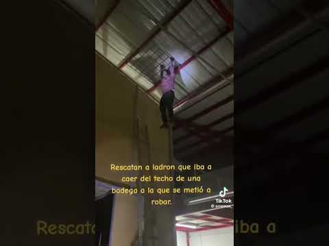 Rescatan a un ladrón #rescateanimal #virals #viralvideochallenge #Ladron #relax