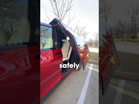 Every Tesla Model X Owner NEEDS to know this 😳