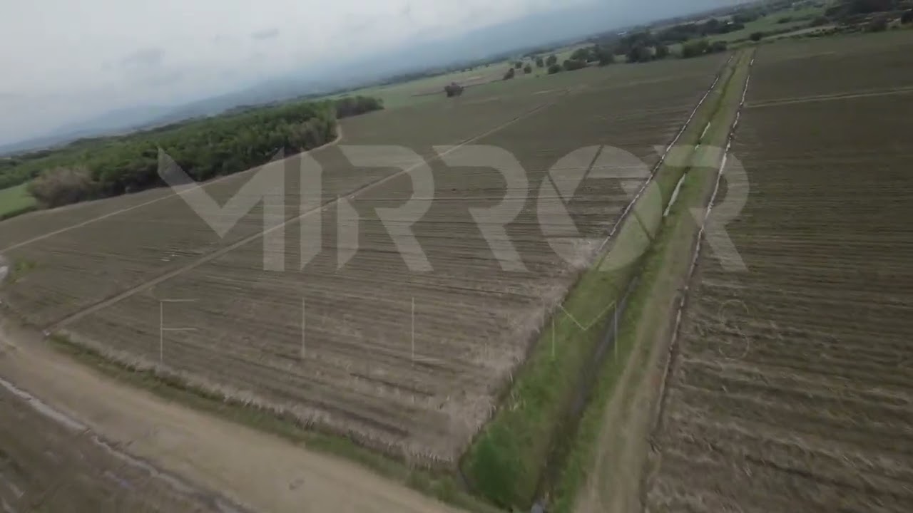 Cultivo de Caña FPV P6