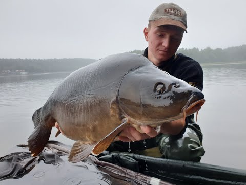 Karpie z łowiska Wygonin