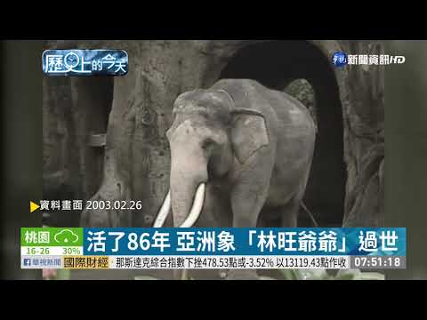 【歷史上的今天】桃機前身 「中正國際機場」正式啟用