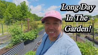 Long Day In The Garden!