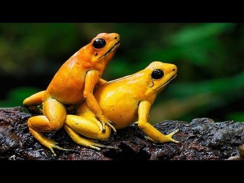 07. Kuba Knap - Co nas rozluźnia - Bez nerwów, bez złudzeń