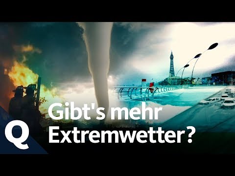 Is the weather really becoming more extreme? | Quarks