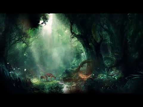 FAREBI JALEBI (Parvati Records) ⎉ Live RadiOzora 2016 - Psychedelic.com.br