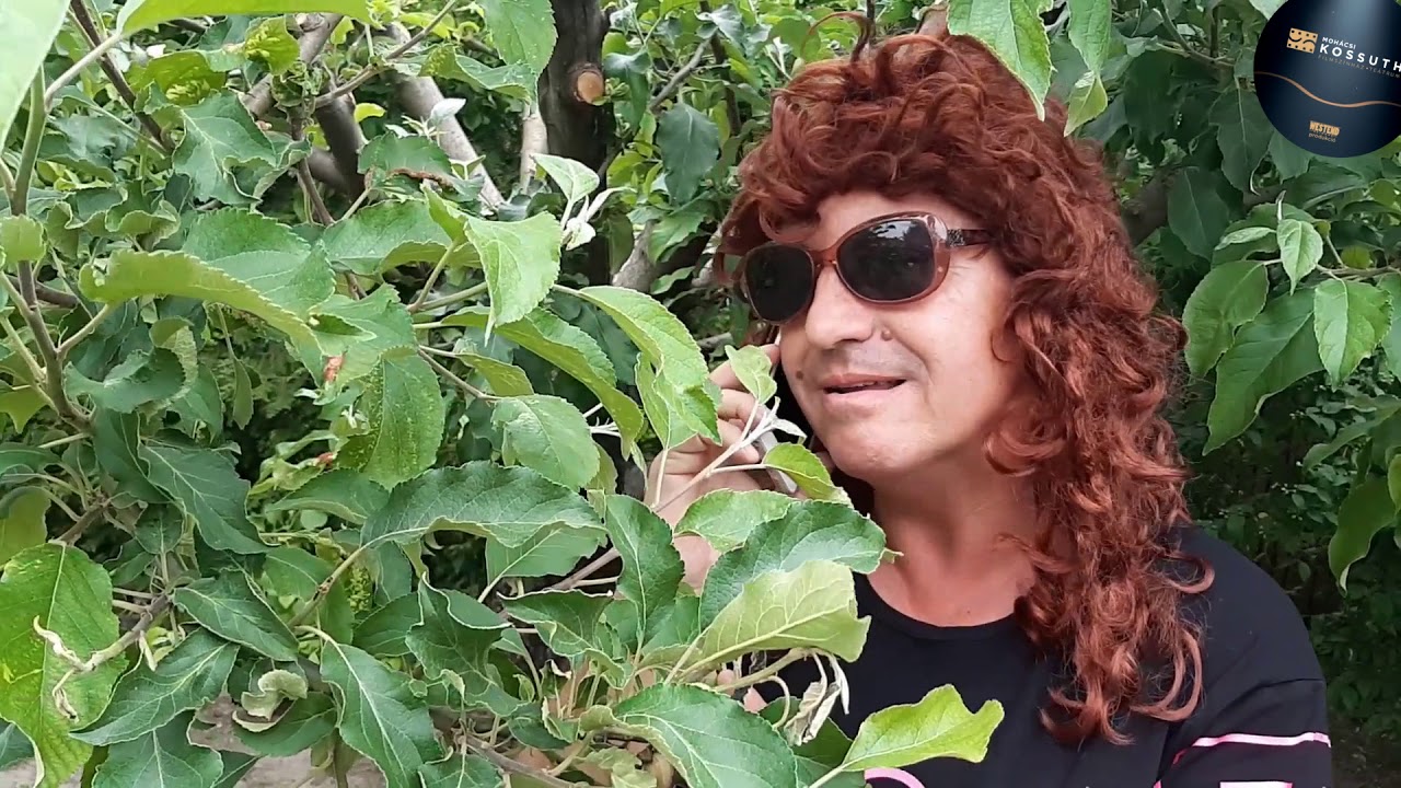 Várfi Sándor: Karantén az anyóssal