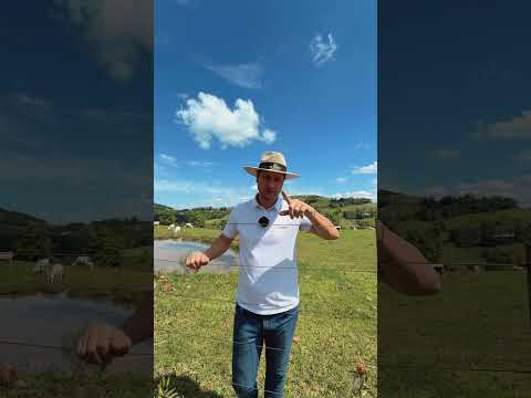 FAZENDA À VENDA em SANTA CATARINA R$2.390.000