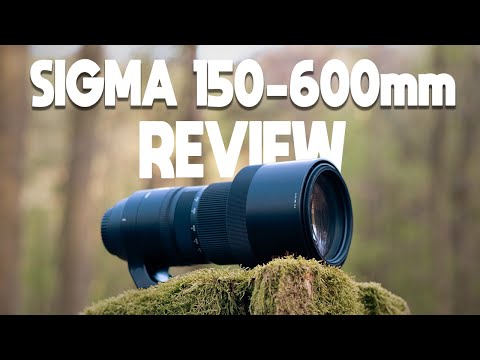 Schnelle & Einfache Review zum Sigma 150-600mm Contemporary
