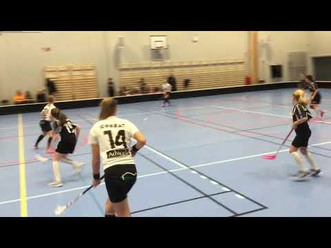 Älvstranden F05/06 - Kärra F05/06, period 2 (Innebandy / Floorball)