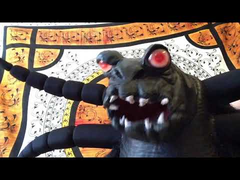 Die Echse - Botschaft Nr. 26 : Äußerlichkeiten