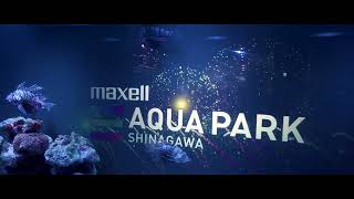 オムライスを食べて、水族館に行って、映画を見た日
