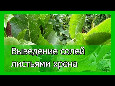 Как проявляется грыжа шейного отдела Вальгусная деформация коленных суставов на рентгене