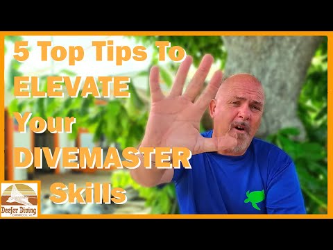 Become a Better Divemaster: Top 5 Skills You Need