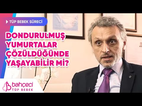 Dondurulmuş Yumurtalar Çözüldüğünde Yaşayabilir mi, Sonraki Süreç Nasıl Olur? Doç. Dr. Bora Cengiz