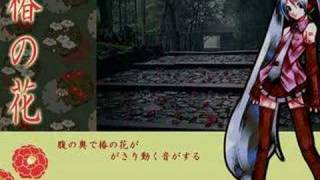 Cover art for tsubaki no hana