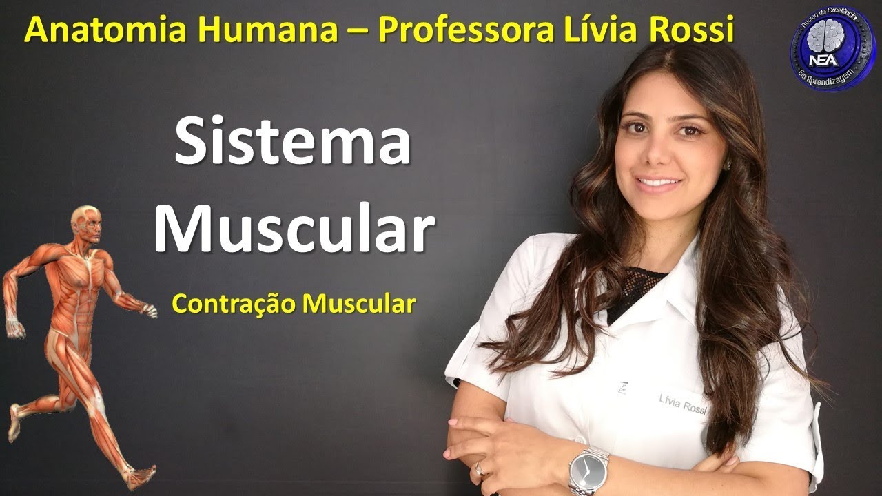 Anatomia Humana - Sistema Muscular - Contração Muscular