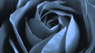 Gruselgeschichte Schwarze Rosen (Klassiker)