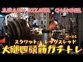 大腿四頭筋ガチトレPART⑤/バーベルスクワット&レッグスレッド