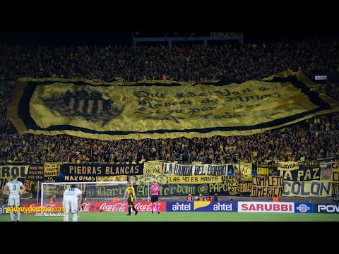 "Me lo dijo una gitana - Hinchada Peñarol Campeón Uruguayo 2021" Barra: Barra Amsterdam &bull; Club: Peñarol &bull; País: Uruguay