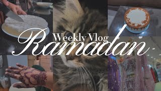 Ramadan in NYC 🌙 ep 4 🌙Last Few Days of Ramadan, Eid Shopping, New Kitten, Birth Milestones 