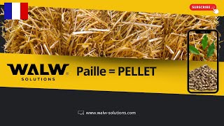 WALW Solutions weighing packaging machine for sale - Image 4 | Machineryline IL New WALW Solutions weighing packaging machine | Image 4 - Machineryline