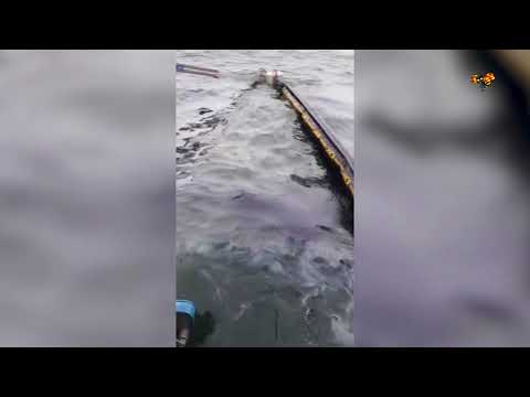 14 ton tjockolja hotar svenska badgäster