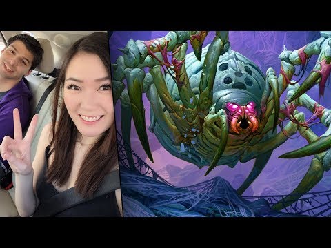 Teaching Dog How to Play His deck