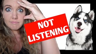 “My dog is IGNORING ME suddenly!” –Why your dog’s NOT LISTENING! (ft. Kim Brophey)