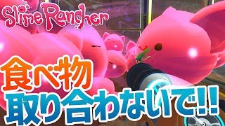 スライムランチャー #5 でかスライム・ラルゴ誕生！【Slime Rancher】
