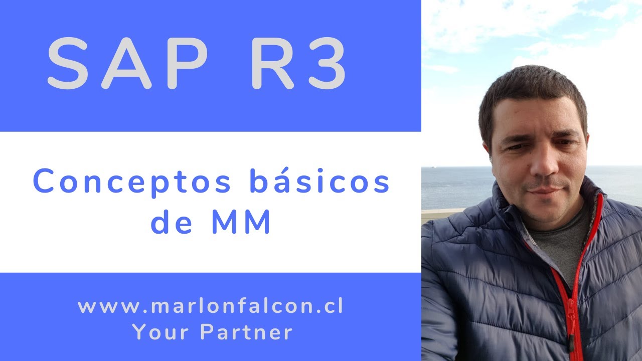 8.1 Curso SAP MM | Clase 01 Conceptos básicos de MM SAP/R3