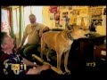ITV1 Ads Continuity 23 08 08 2